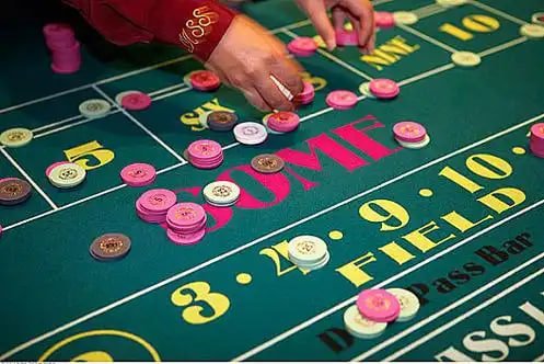Cricket wicket guide visual for 7j777 casino users in Bangladesh